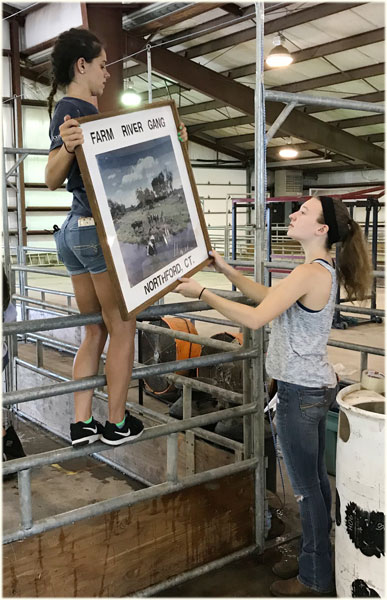 hanging a framed picture