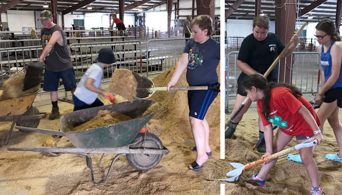 4-H youth spread sawdust