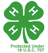 official 4-H clover