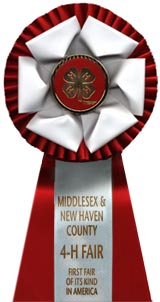 Hancock petal over pleated rosette