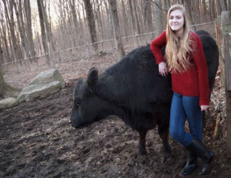 Haddie leaning on a beef cow